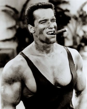 039_2477Arnold-Schwarzenegger-Poste.jpg