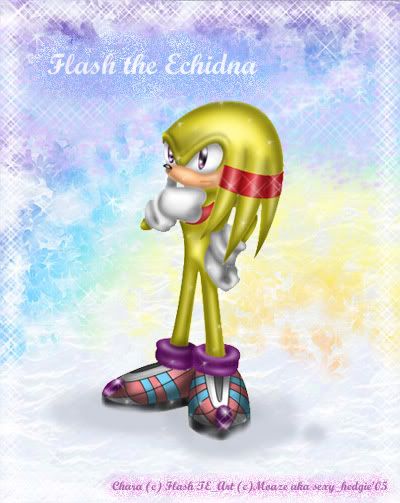 flash-echidna-by_moaze.jpg