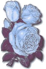 BLUEROSE.bmp (34822 bytes)