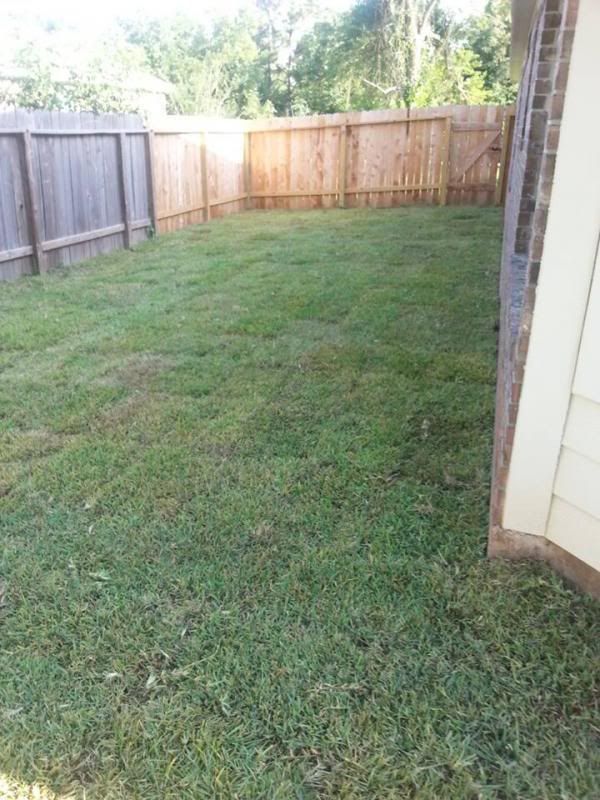yard1_zps0c691aff.jpg