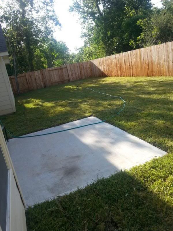 yard3_zps53dbb680.jpg