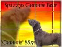 Spazzys Gummie Bear