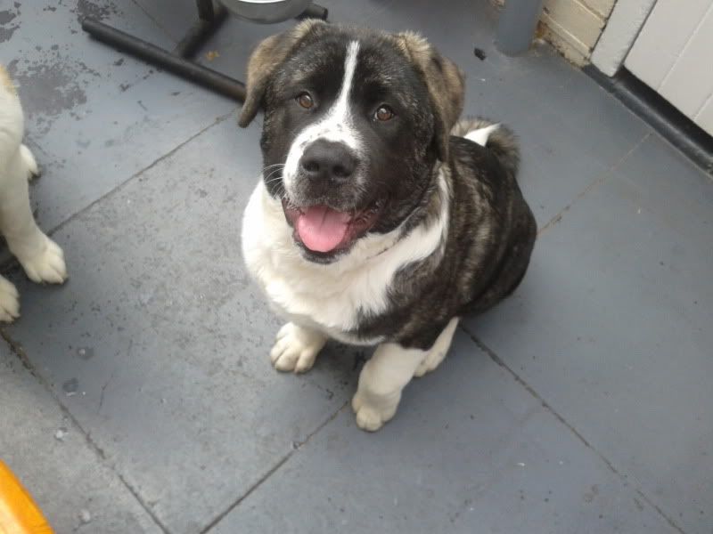 2011-09-24134449.jpg