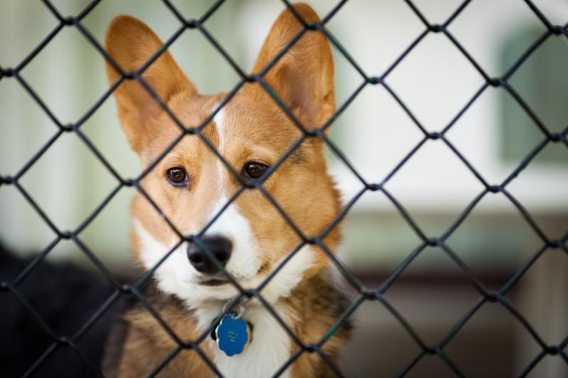 IMAGE: http://img.photobucket.com/albums/v214/mooshu000/IMG_8416_zps428112a0.jpg