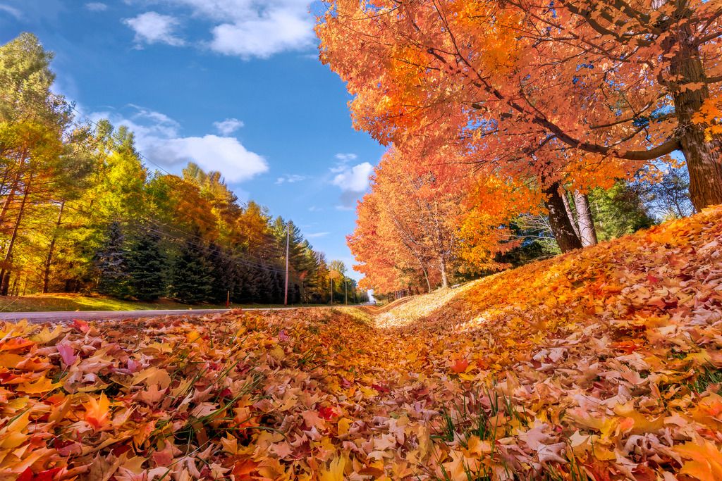 IMAGE: http://img.photobucket.com/albums/v214/mooshu000/Ray%20and%20Steph%20MotionD-0767_zpsvoqfq10q.jpg