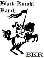 Black Knight Ranch Avatar