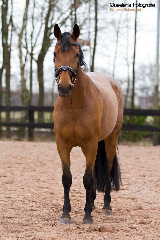 Afbeelding