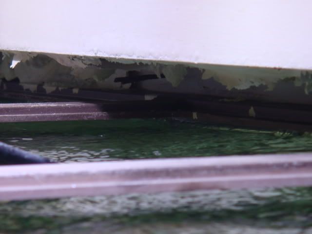 Tank-3.jpg