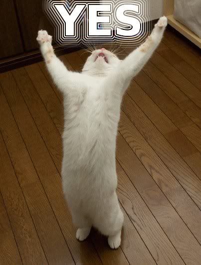 1203430779613yes.jpg