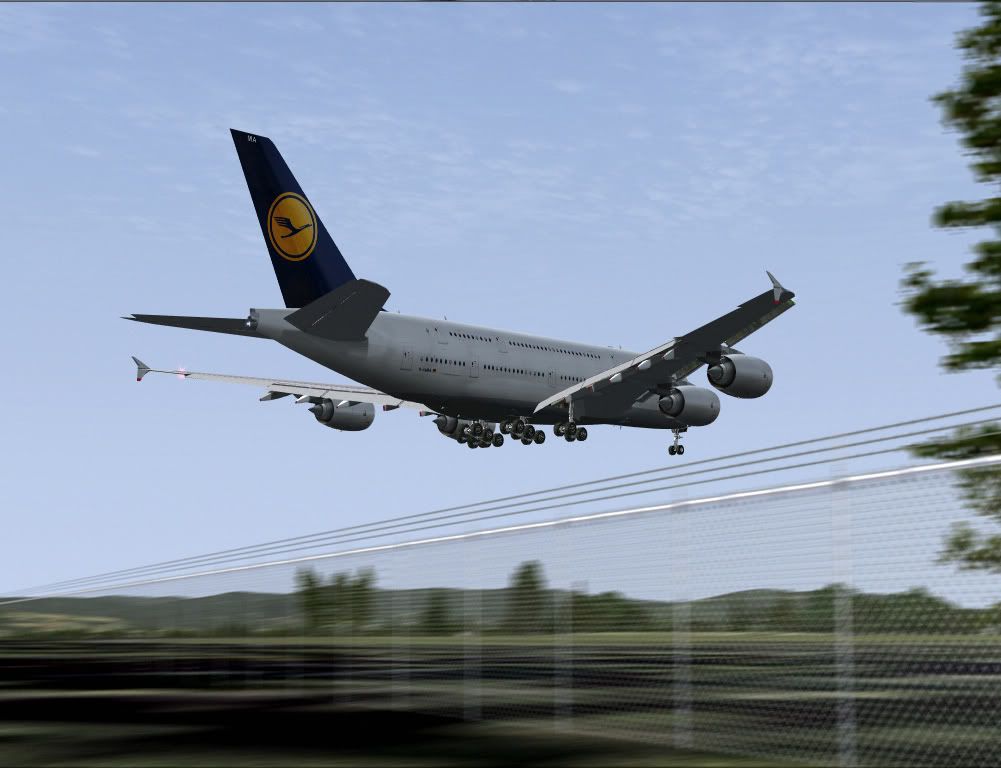 A3804.jpg
