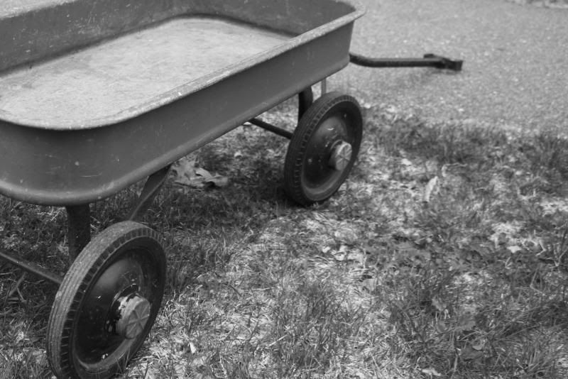 IMAGE: http://img.photobucket.com/albums/v215/darkknight1999/IMG_0561-bw.jpg