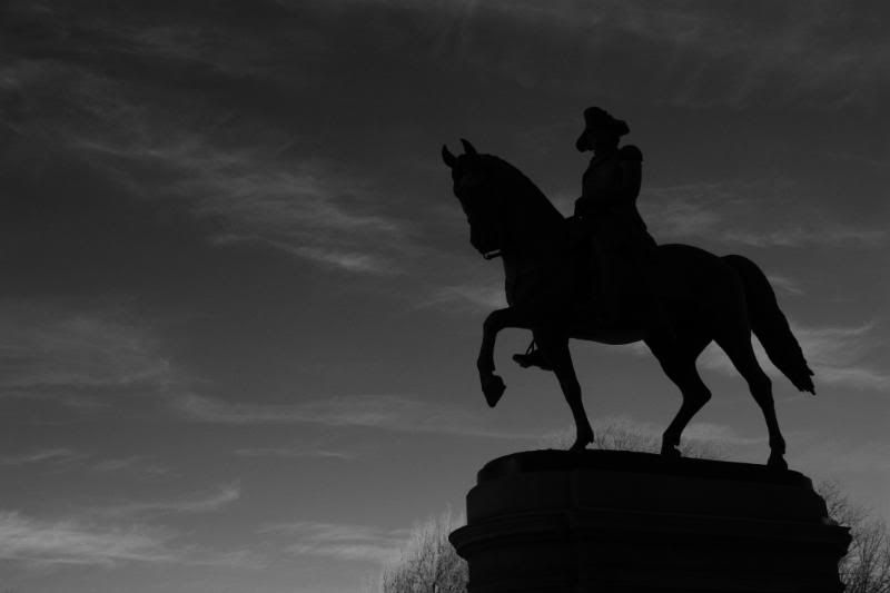 IMAGE: http://img.photobucket.com/albums/v215/darkknight1999/IMG_3662-1.jpg