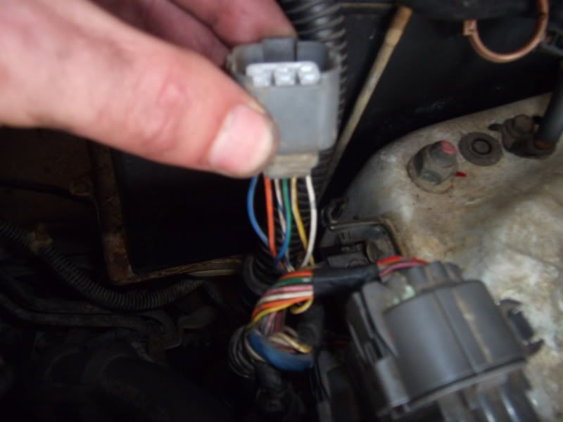 here is a photo of the plug, the colours are blue/yellow, white/blue