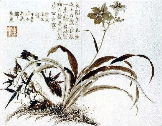 Hoa Lan – tranh của Kim Nông (1687-1764)