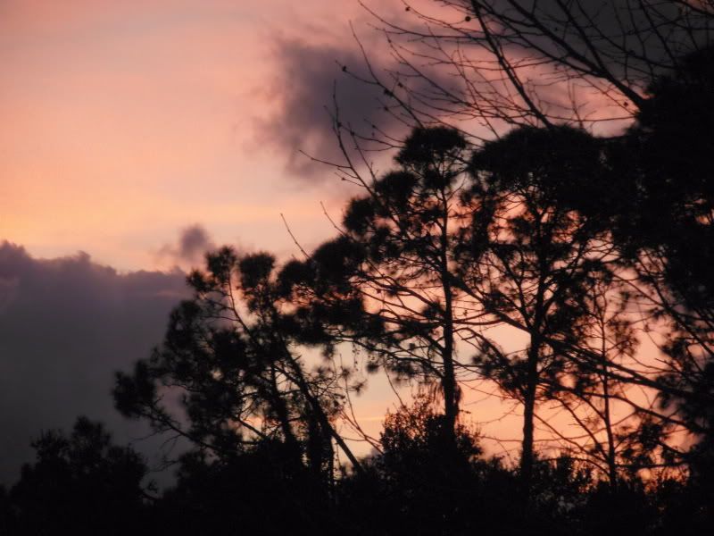 IMAGE: http://img.photobucket.com/albums/v215/lichjen/P1250001.jpg