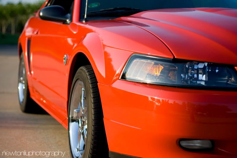 IMAGE: http://img.photobucket.com/albums/v215/newton22/IMG_8828.jpg