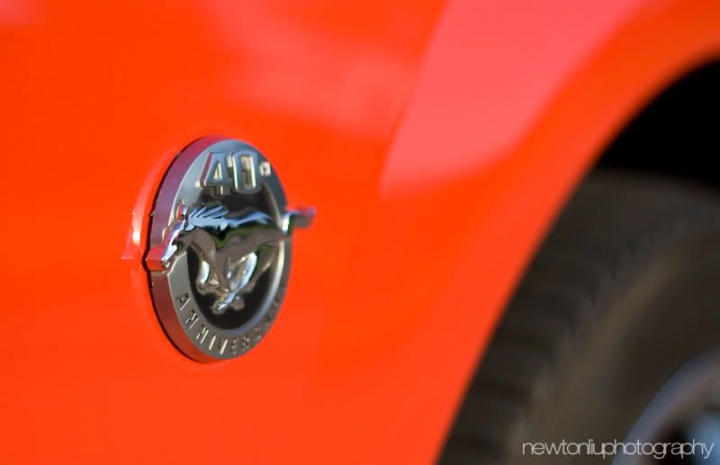 IMAGE: http://img.photobucket.com/albums/v215/newton22/IMG_8831.jpg