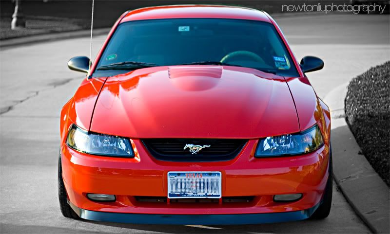 IMAGE: http://img.photobucket.com/albums/v215/newton22/IMG_8836.jpg