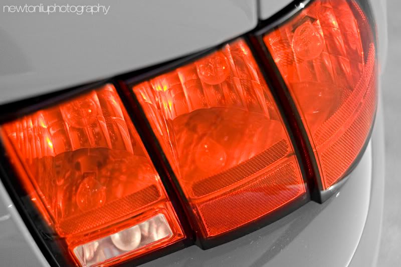 IMAGE: http://img.photobucket.com/albums/v215/newton22/IMG_8840.jpg