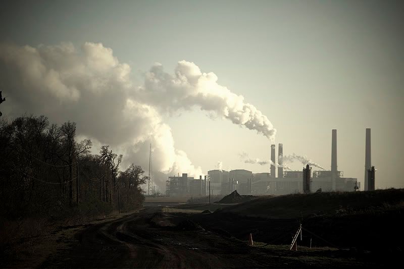 IMAGE: http://img.photobucket.com/albums/v215/newton22/IMG_9968.jpg