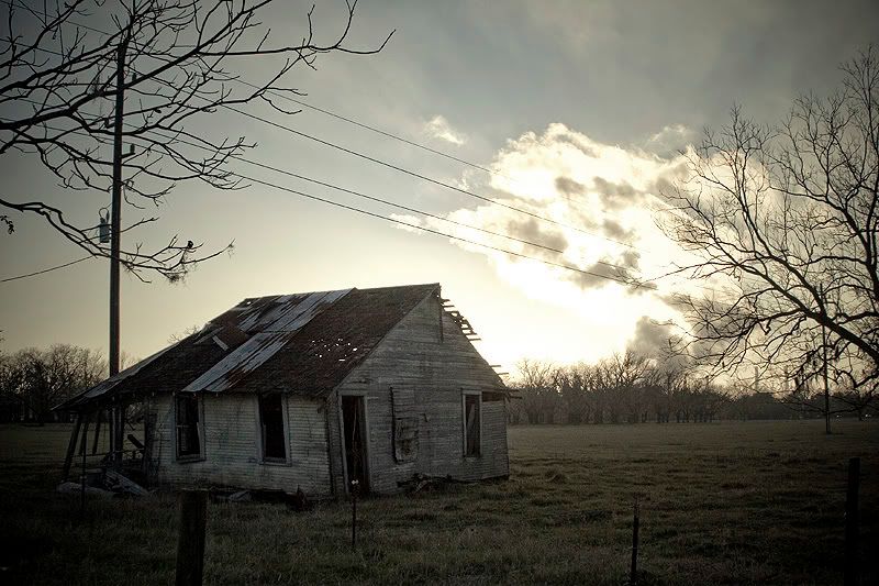 IMAGE: http://img.photobucket.com/albums/v215/newton22/IMG_9972.jpg