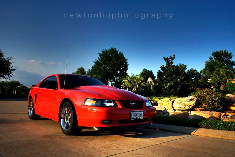 IMAGE: http://img.photobucket.com/albums/v215/newton22/mustanghdr2.jpg