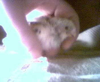 Picture015.jpg
