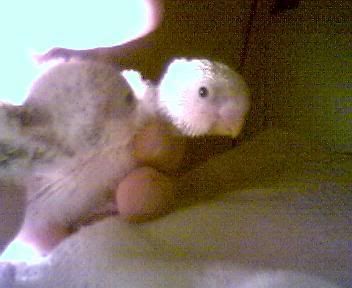 Picture025.jpg