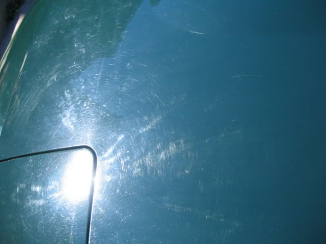 112_1265.jpg