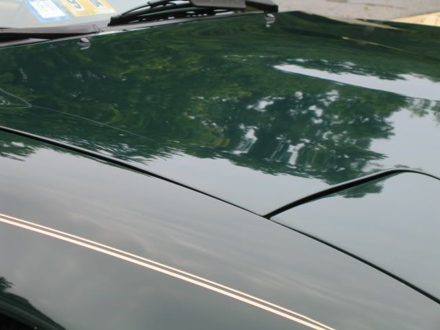 113_1317.jpg