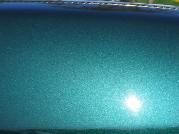113_1358.jpg