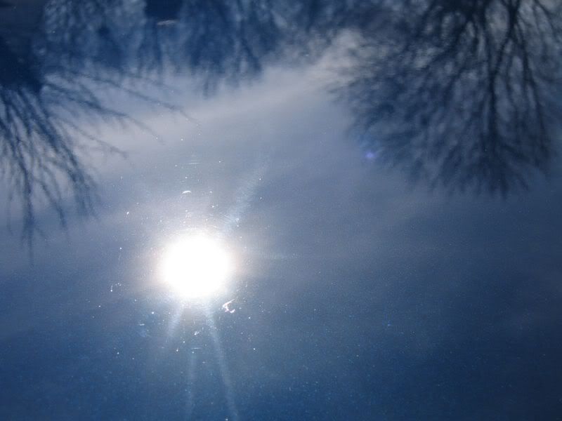tn_120_2014.jpg