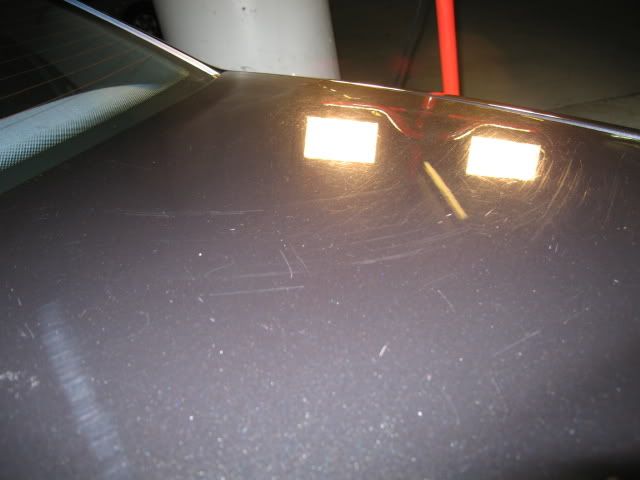 IMG_3990.jpg