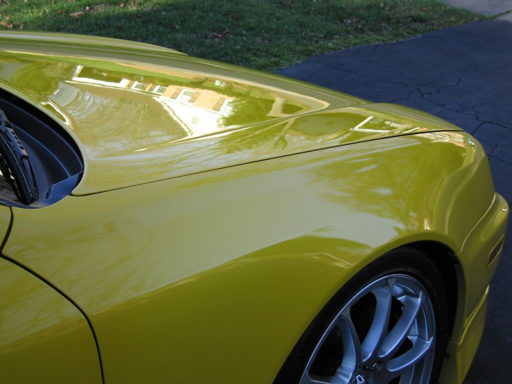 Picture1016-1.jpg