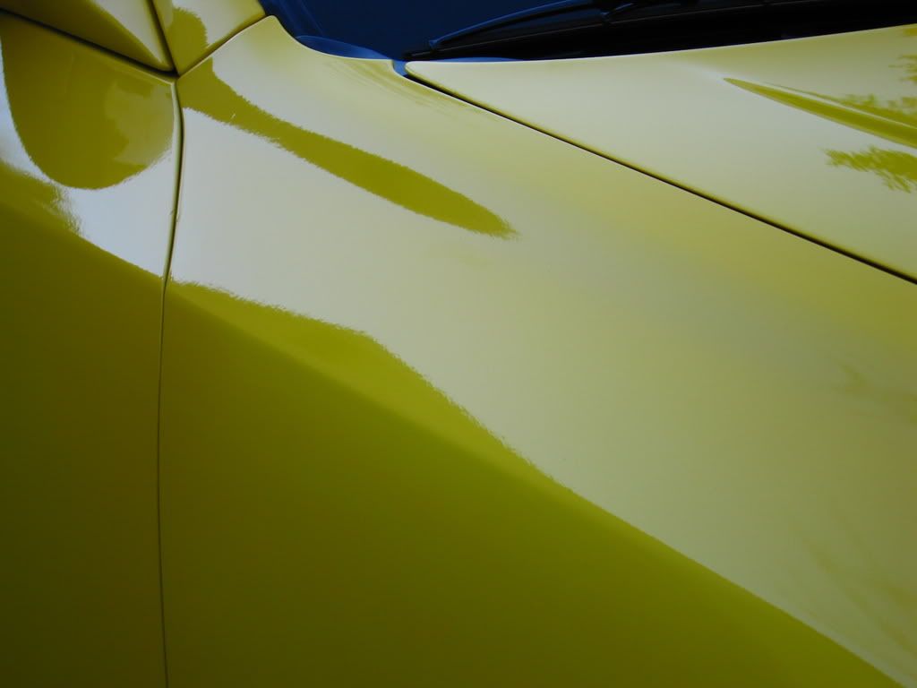 Picture1022-1.jpg