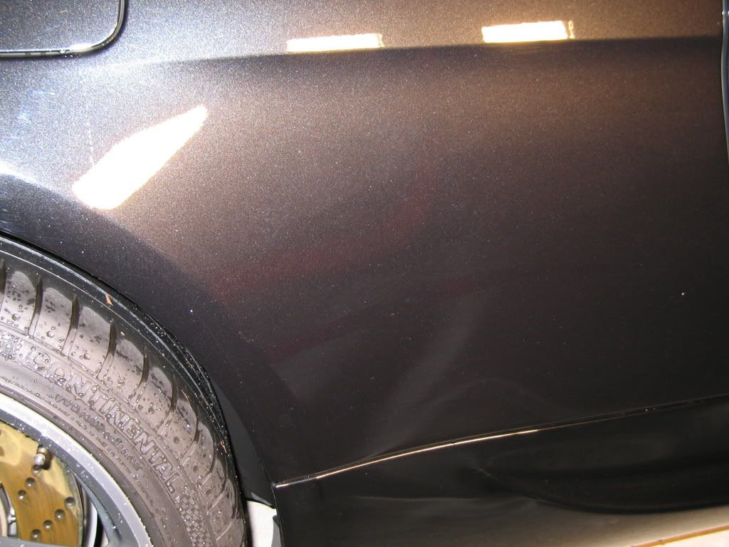 Picture1174.jpg