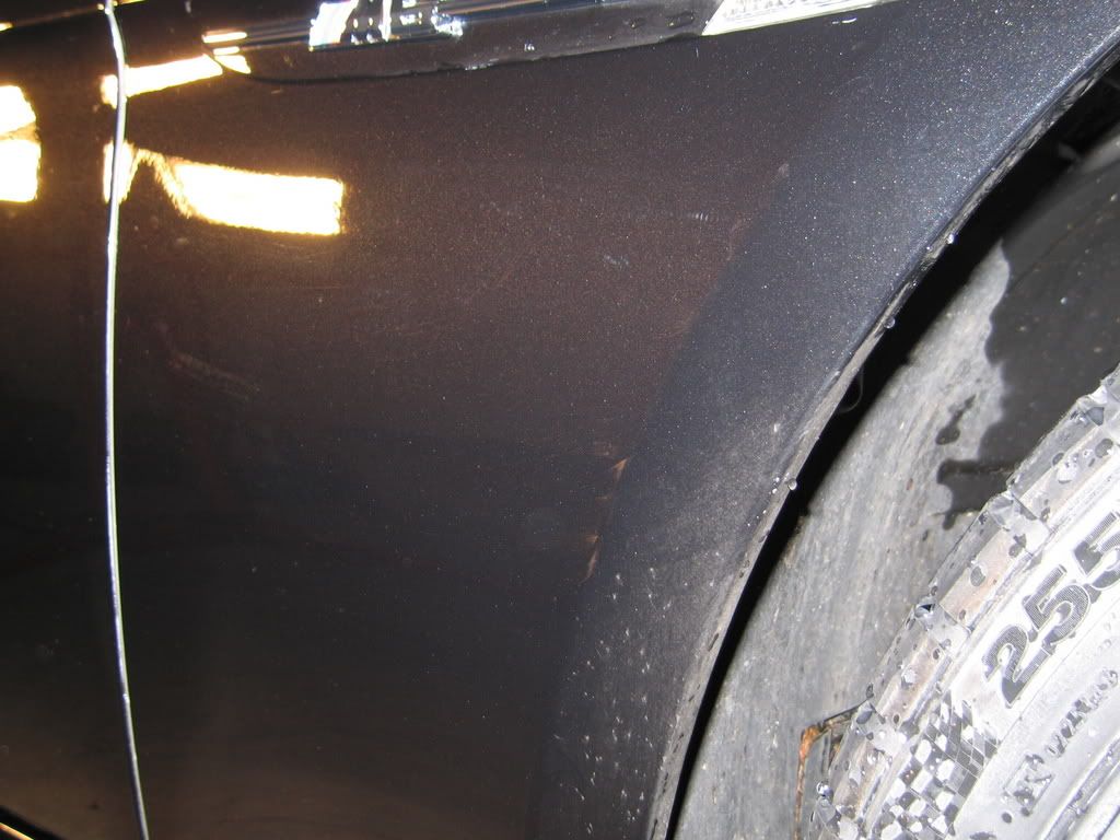 Picture1176.jpg