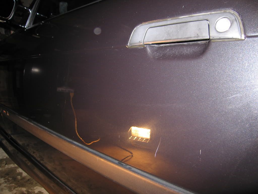 Picture1237.jpg