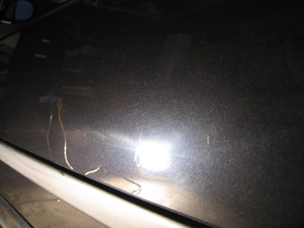 Picture1238.jpg