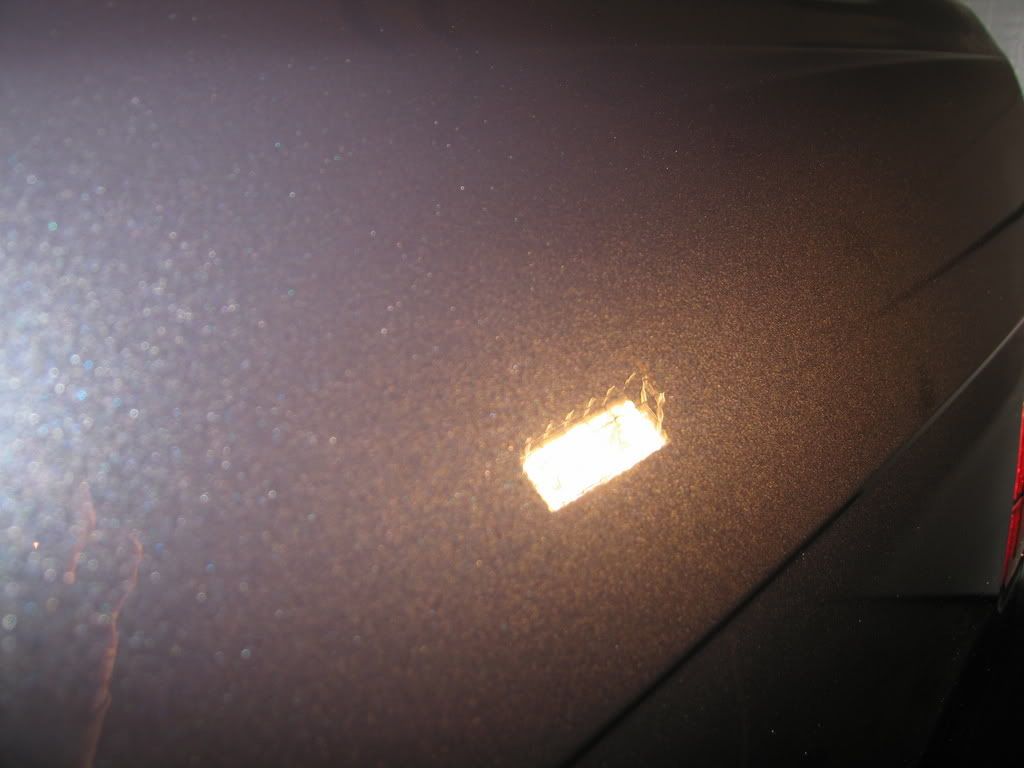 Picture1239.jpg