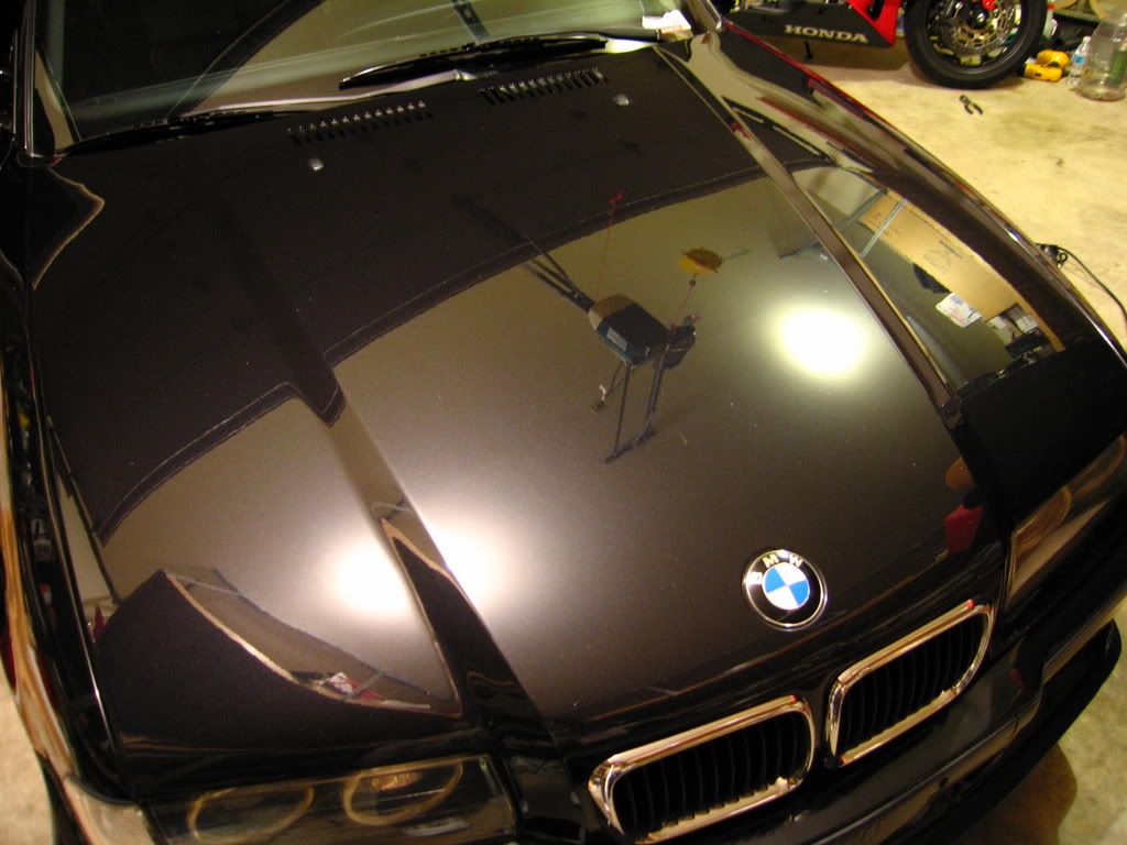 Picture1244.jpg