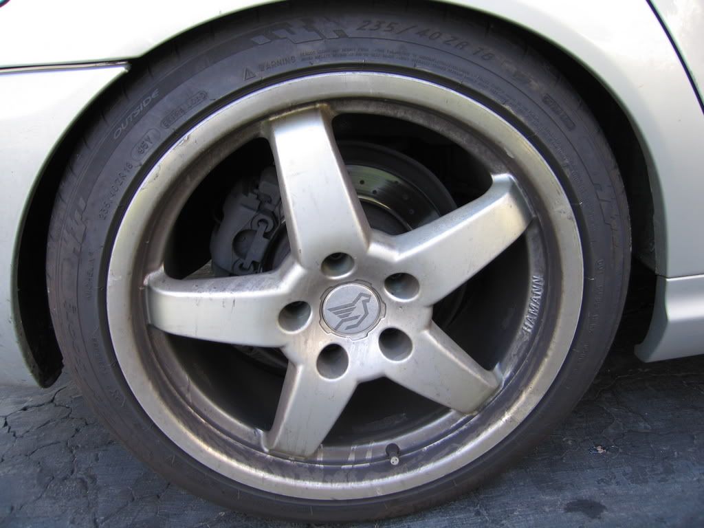 Picture1363.jpg