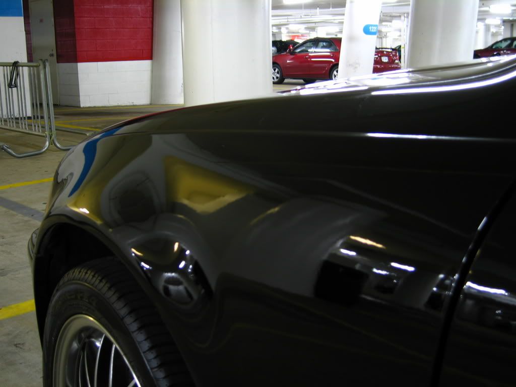 Picture1429.jpg