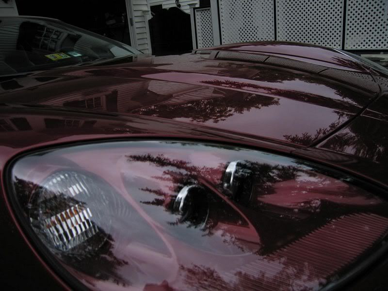 tn_IMG_4475.jpg