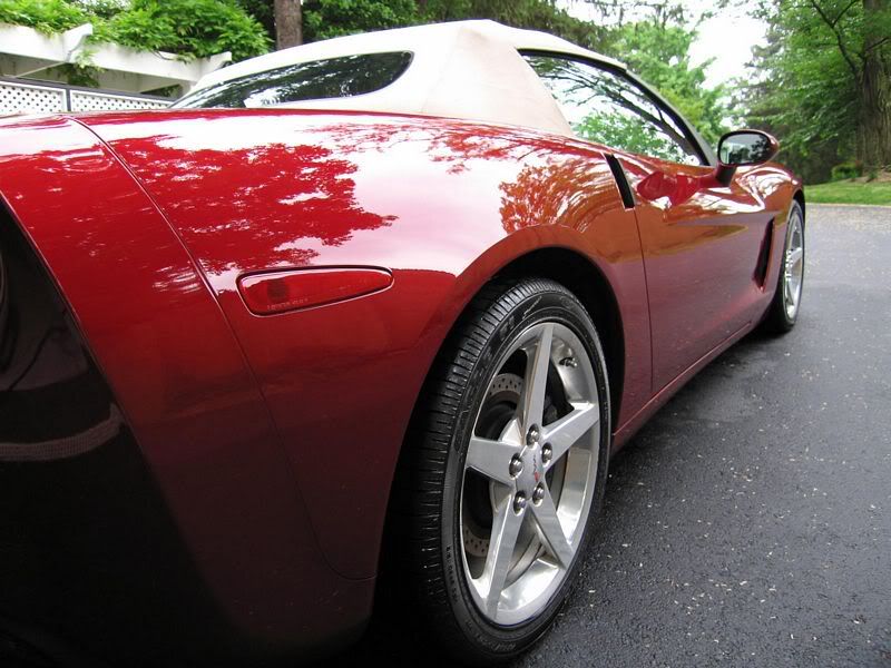 tn_IMG_4478.jpg