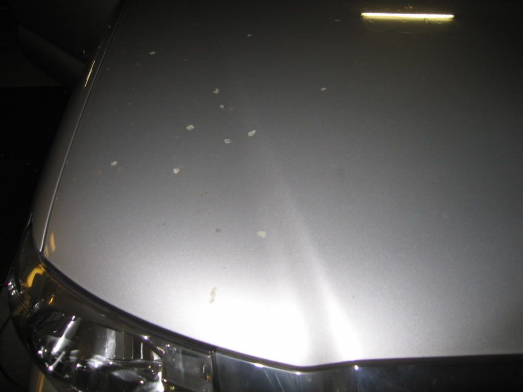 Picture1088.jpg