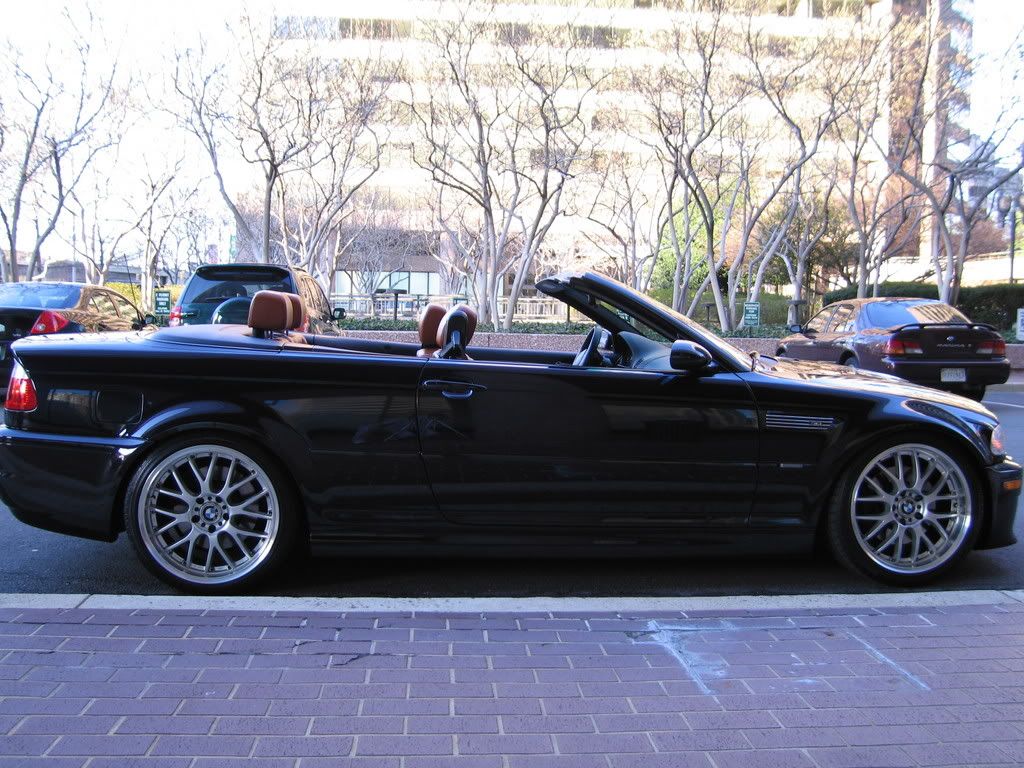 Picture1103.jpg