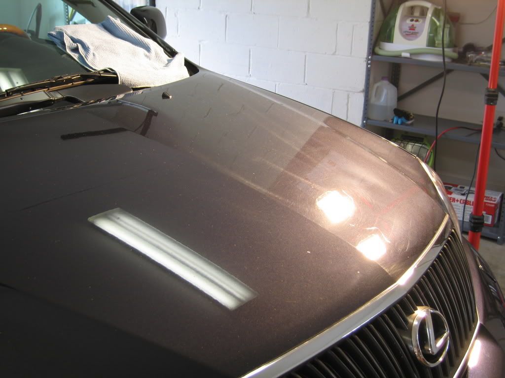 Picture1125.jpg