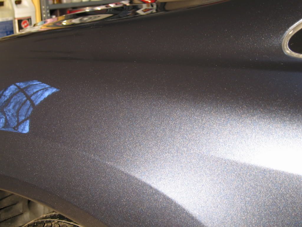 Picture1138.jpg
