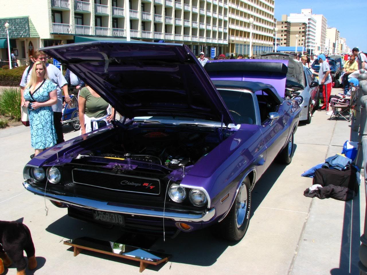 carshow057.jpg